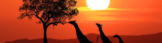 A Guide To South African Gifts