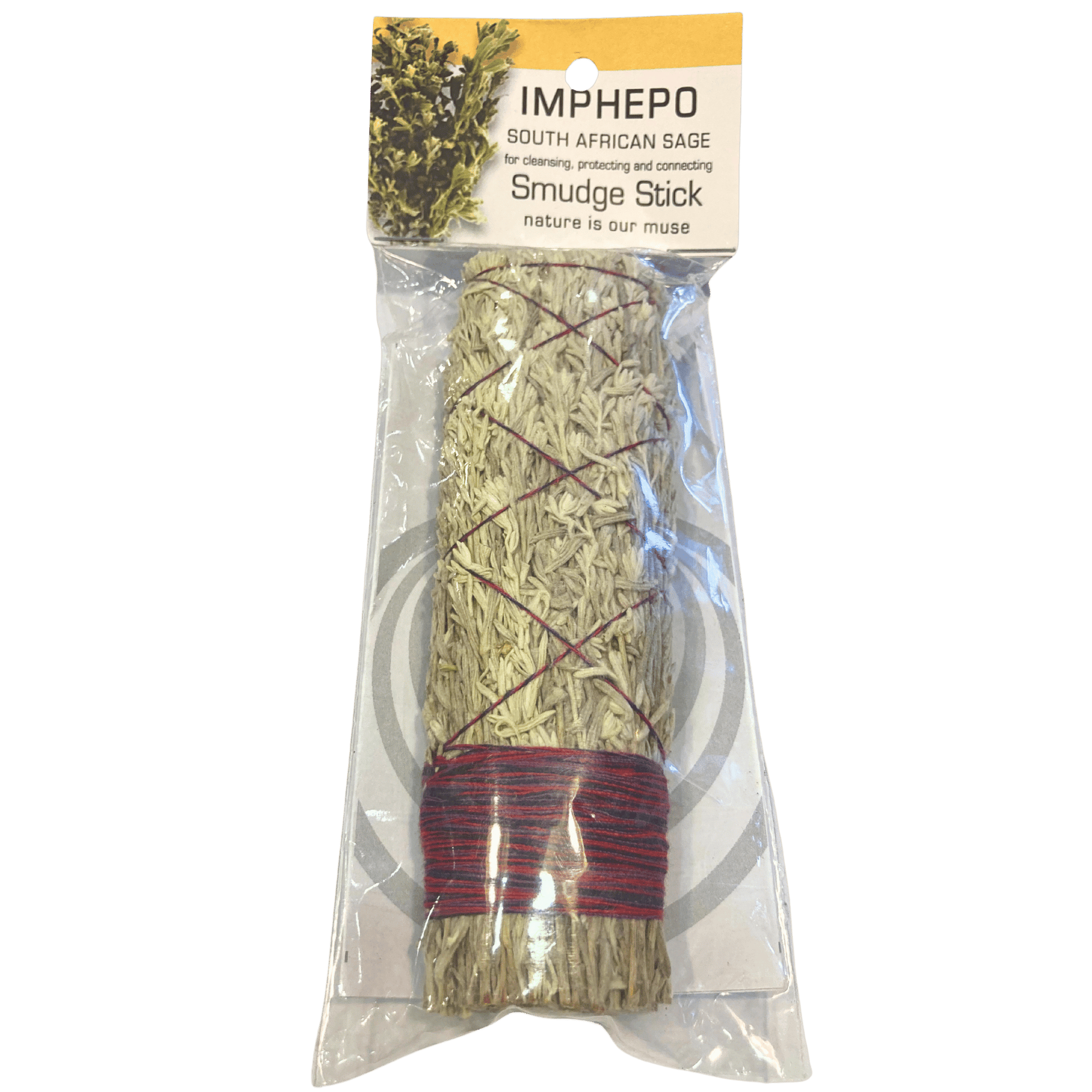 Imphepo sage smudge stick for cleansing.