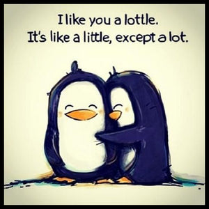Wood sign gift with quote: "I like you a lottle. It's like a little, except a lot".